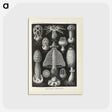 2-55_Ernst-Haeckel_postcard