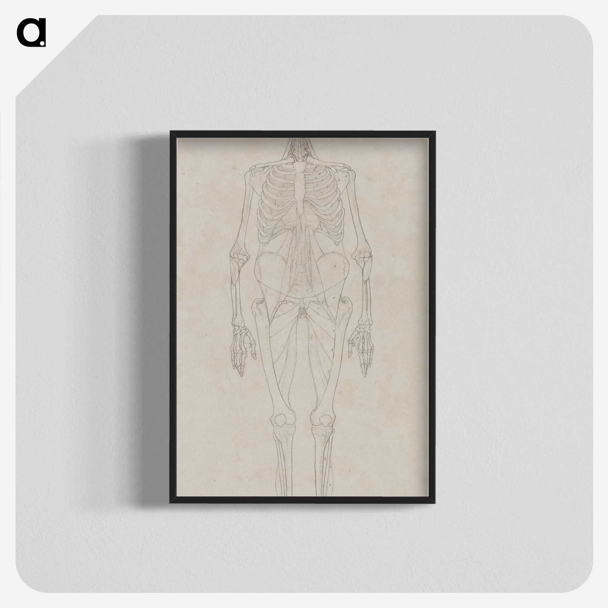 2-55_George-Stubbs_blk-crop