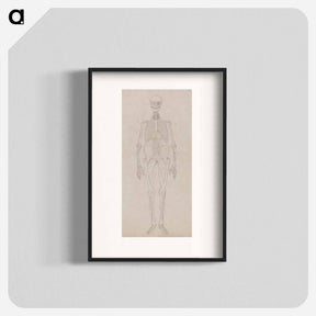 アートポスター-Human Figure, Anterior View
 - ジョージ スタッブス Poster.