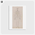 アートポストカード-Human Figure, Anterior View
 - ジョージ スタッブス Postcard.