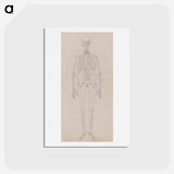 アートポストカード-Human Figure, Anterior View
 - ジョージ スタッブス Postcard.