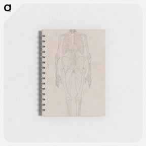 アートメモ帳-Human Figure, Anterior View
 - ジョージ スタッブス Memo.