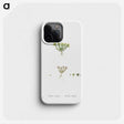 2-55_Histoire-des-Plantes-Grasses_phone