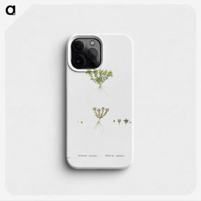 2-55_Histoire-des-Plantes-Grasses_phone