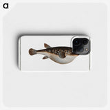 2-55_Ichtyologie-ou-Histoire-naturelle_phone