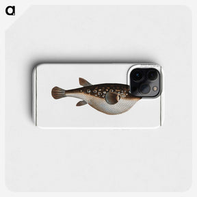 2-55_Ichtyologie-ou-Histoire-naturelle_phone