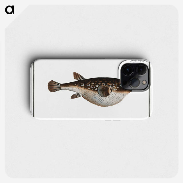 2-55_Ichtyologie-ou-Histoire-naturelle_phone