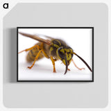 2-55_Insects-Unlocked-Project_blk-crop