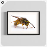 2-55_Insects-Unlocked-Project_blk