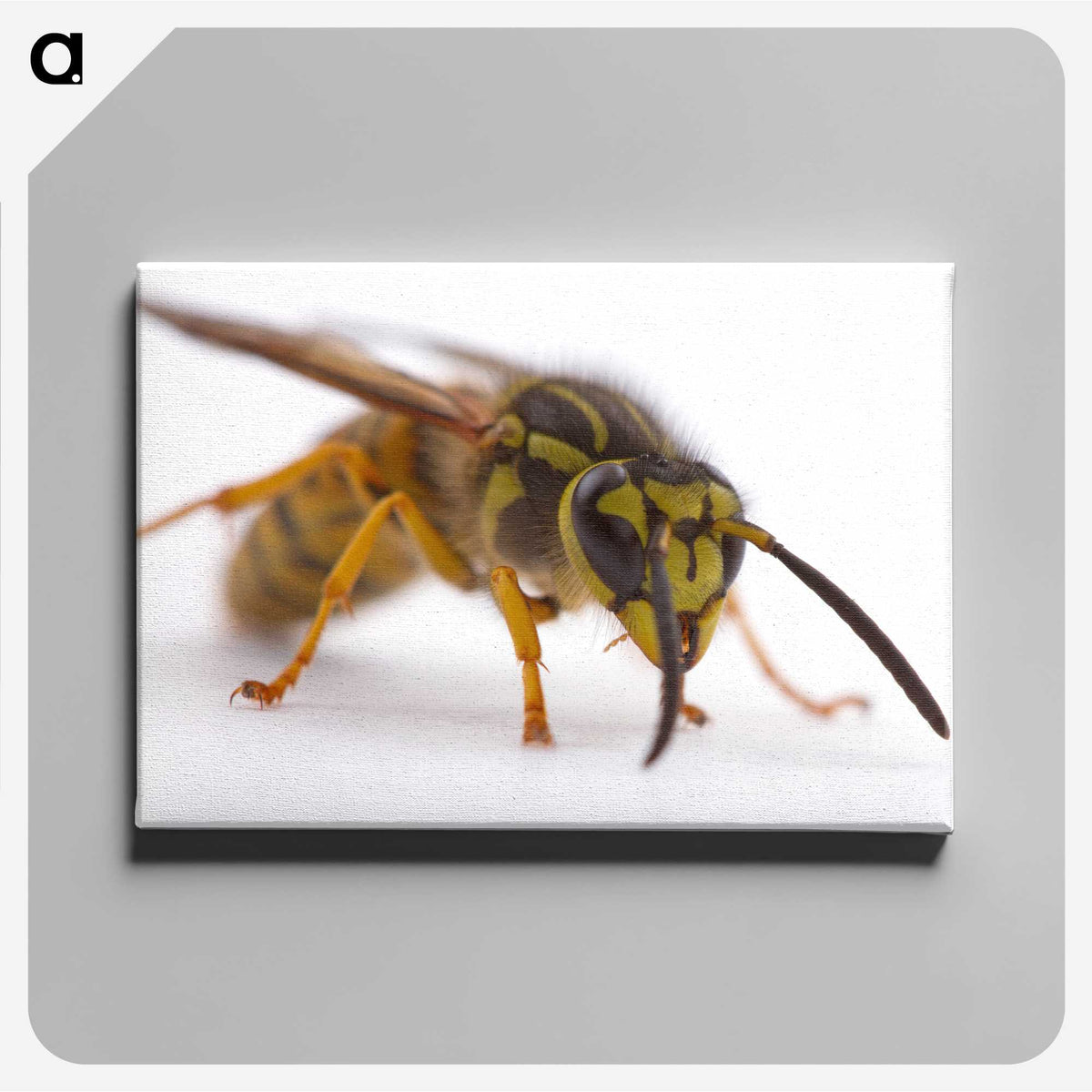 2-55_Insects-Unlocked-Project_canvas