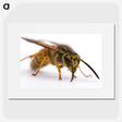 2-55_Insects-Unlocked-Project_picture