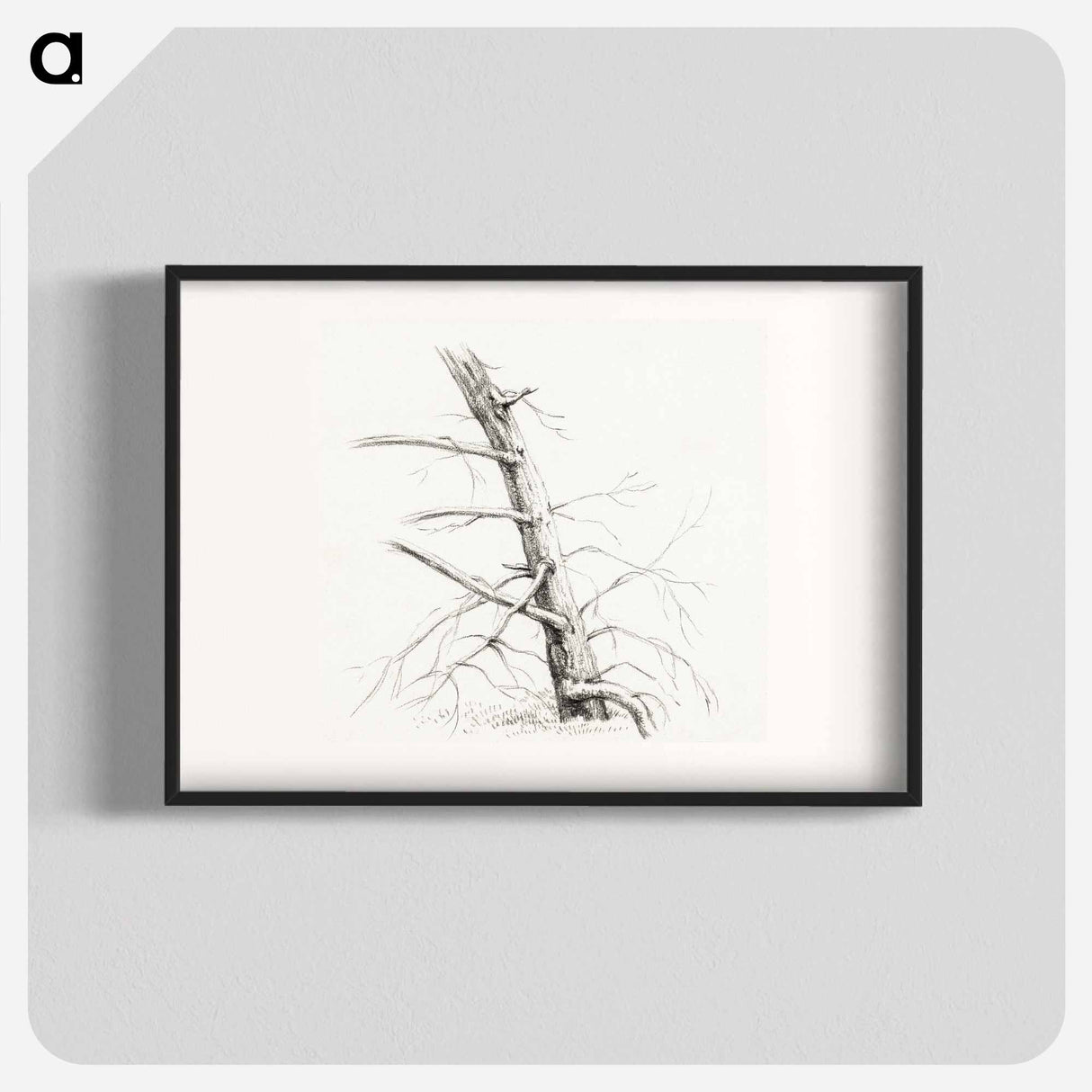 Study of a tree - Jean Bernard Poster.