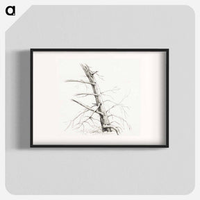 アートポスター-Study of a tree - ジャン ベルナール Poster.