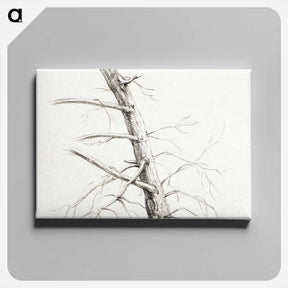 アートパネル-Study of a tree - ジャン ベルナール Canvas.