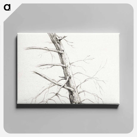 アートパネル-Study of a tree - ジャン ベルナール Canvas.