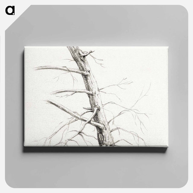 アートパネル-Study of a tree - ジャン ベルナール Canvas.