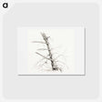 アートポストカード-Study of a tree - ジャン ベルナール Postcard.
