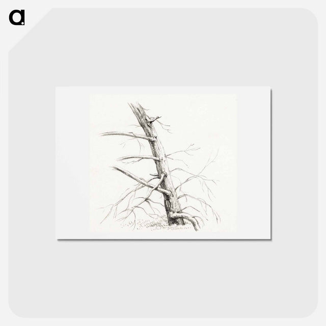 アートポストカード-Study of a tree - ジャン ベルナール Postcard.