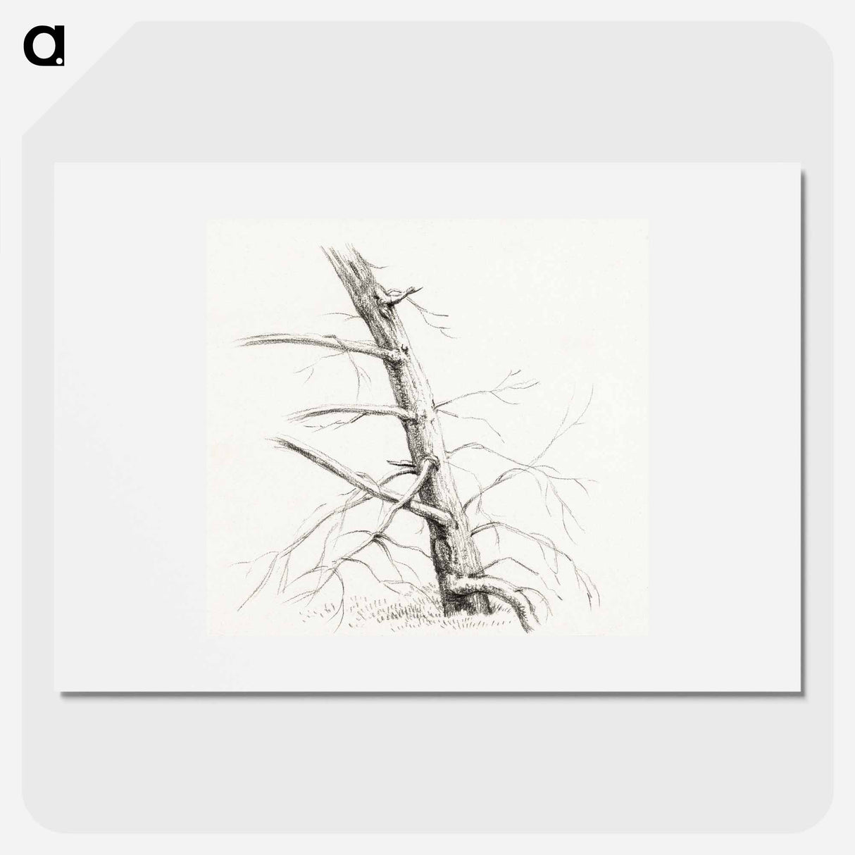 Study of a tree - Jean Bernard Poster.