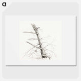 Study of a tree - Jean Bernard Poster.