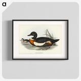 2-55_John-Gould_blk