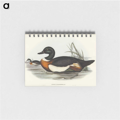 2-55_John-Gould_memo