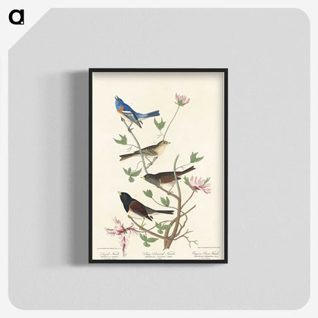 2-55_John-James-Audubon_blk-crop