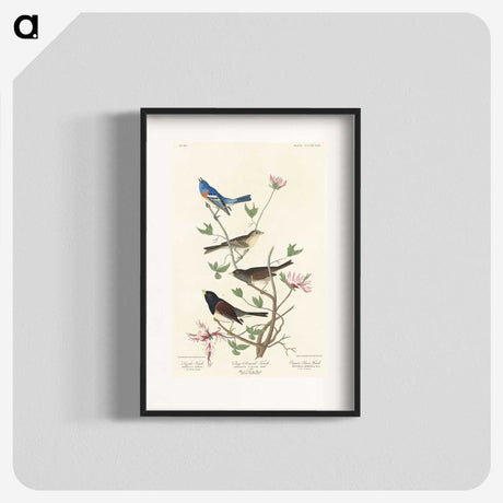 2-55_John-James-Audubon_blk