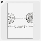 2-55_Les-Palmiers-Histoire-Iconographique_picture-crop