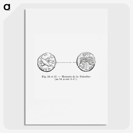 2-55_Les-Palmiers-Histoire-Iconographique_picture