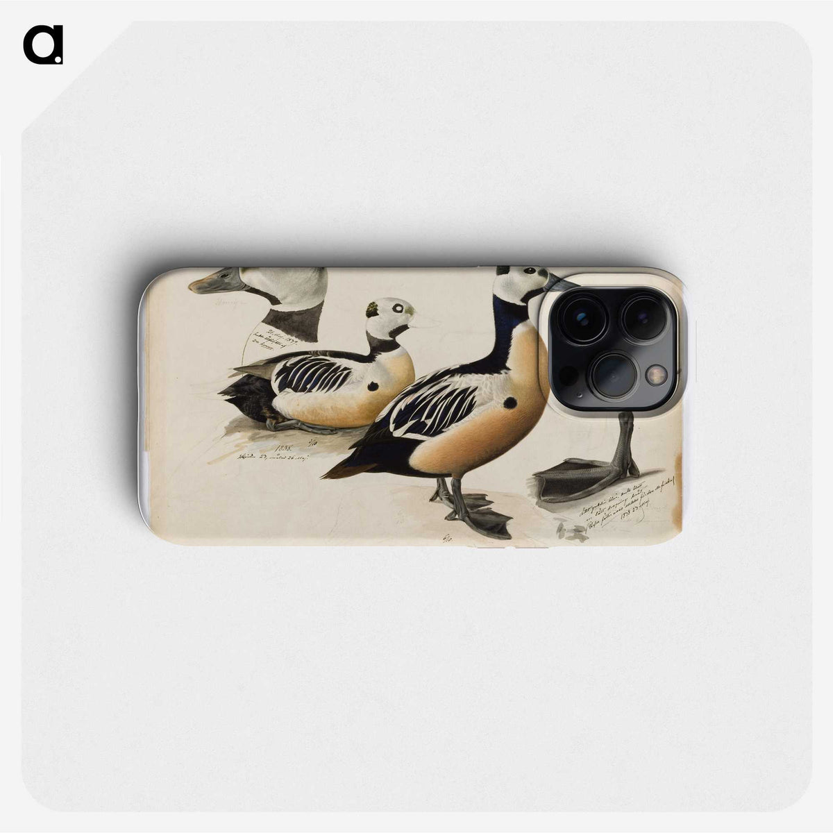 2-55_Magnus-von-Wright_phone