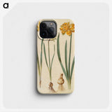 2-55_Maria-Sibylla-Merian_phone