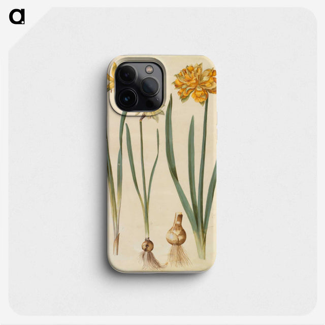 2-55_Maria-Sibylla-Merian_phone