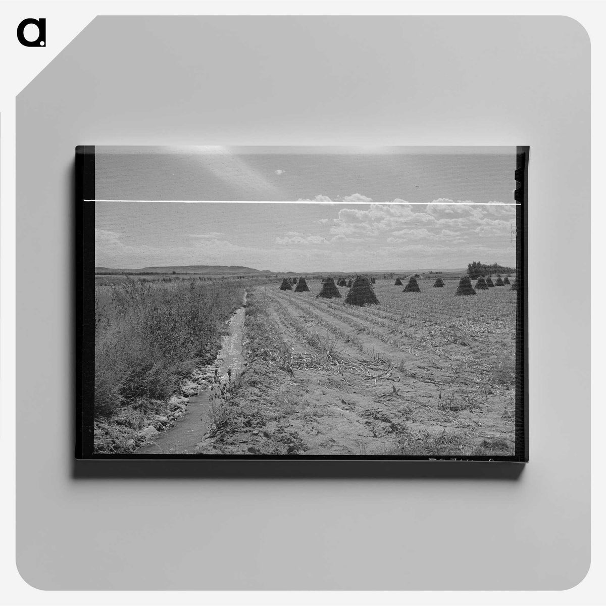 2-55_Marion-Post-Wolcott_canvas