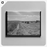 2-55_Marion-Post-Wolcott_canvas