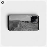 2-55_Marion-Post-Wolcott_phone