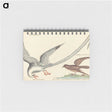 2-55_Mark-Catesby_memo
