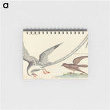 2-55_Mark-Catesby_memo
