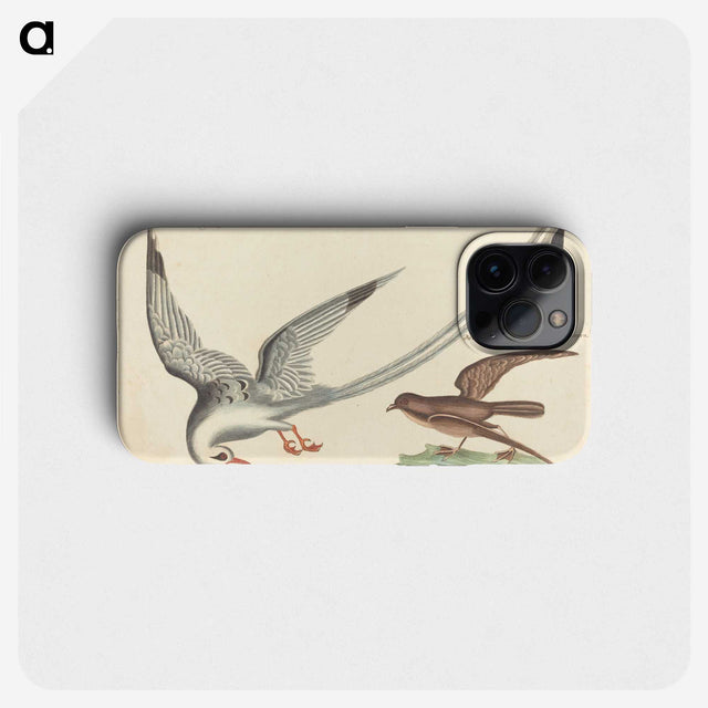 2-55_Mark-Catesby_phone