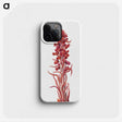 2-55_Mary-Vaux-Walcott_phone