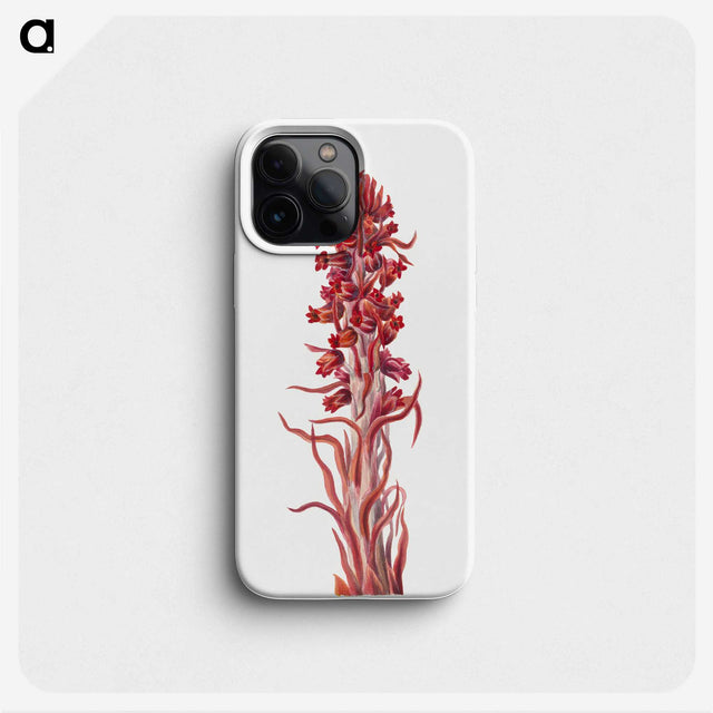 2-55_Mary-Vaux-Walcott_phone