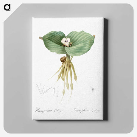 2-55_The-Lilies_canvas