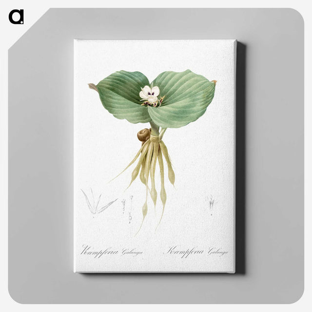 2-55_The-Lilies_canvas