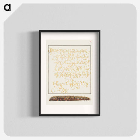 アートポスター-Larva of an Oak Egger Moth from Mira Calligraphiae Monumenta
 - 書道のお手本 Poster.