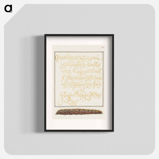 アートポスター-Larva of an Oak Egger Moth from Mira Calligraphiae Monumenta
 - 書道のお手本 Poster.