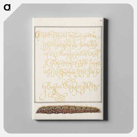 アートパネル-Larva of an Oak Egger Moth from Mira Calligraphiae Monumenta
 - 書道のお手本 Canvas.