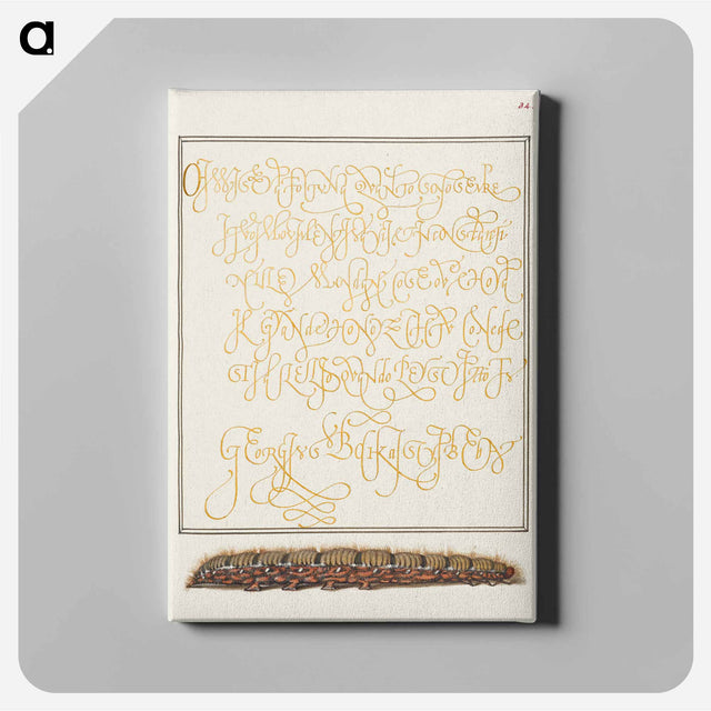 アートパネル-Larva of an Oak Egger Moth from Mira Calligraphiae Monumenta
 - 書道のお手本 Canvas.