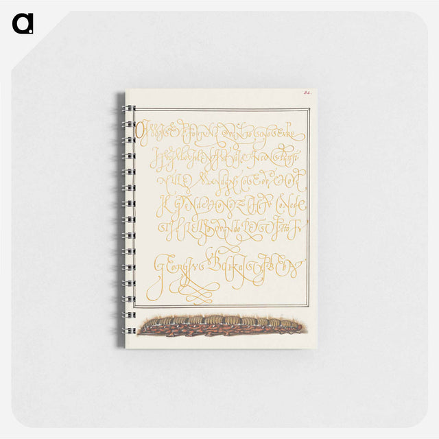 アートメモ帳-Larva of an Oak Egger Moth from Mira Calligraphiae Monumenta
 - 書道のお手本 Memo.