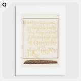 アートポスター-Larva of an Oak Egger Moth from Mira Calligraphiae Monumenta
 - 書道のお手本 Poster.