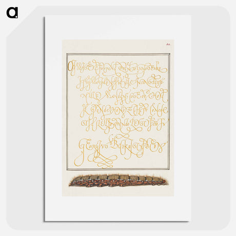 アートポスター-Larva of an Oak Egger Moth from Mira Calligraphiae Monumenta
 - 書道のお手本 Poster.